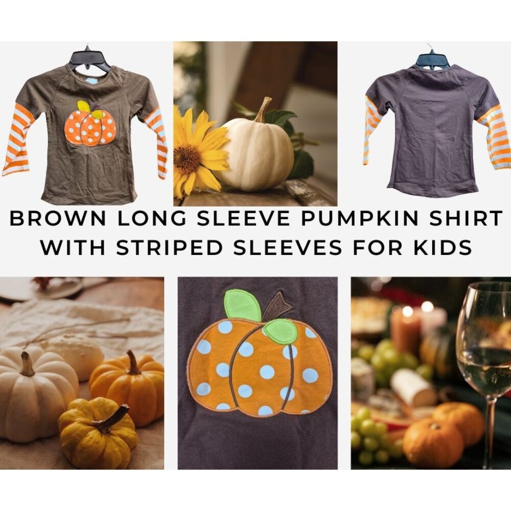 Brown Long Sleeve Pumpkin Shirt With Striped Sleeves For Kids S 2T